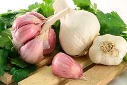 پاسخ علمی به باورهای نادرست تغذیه‌ای مصرف سیر خام ناشتا باعث لاغری نمی‌شود